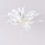 Succulente artificielle agave DANINA, blanc, 35cm, Ø30cm