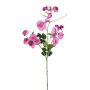 Branche artificielle Lathyrus latifolius PLENVO, rose, 75cm