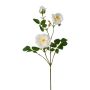Branche de fleurs artificielles Pivoine KROVEL, crème, 75cm