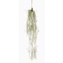 Plante succulente artificielle Suspension de tillandsia usneoides RUWEN, vert, 90cm
