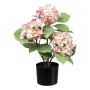 Fleur artificielle Hortensia TRAVOLI, rose-crème, 55cm
