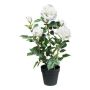 Fleur artificielle: rose FURHYN dans un pot décoratif, blanche, 60cm