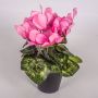 Cyclamen artificiel HEIDI, pot décoratif, rose, 25cm, Ø5-8cm