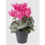 Cyclamen artificiel HEIDI, pot décoratif, fuchsia, 25cm, Ø5-8cm
