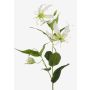 Gloriosa artificielle FUJITA, crème-vert, 80cm, Ø15cm