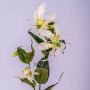 Gloriosa artificielle FUJITA, crème-vert, 80cm, Ø15cm