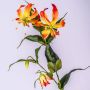 Gloriosa artificielle FUJITA, orange-jaune, 80cm, Ø15cm