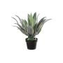 Succulente artificielle Agave americana KYANO, pot décoratif, vert-crème, 55cm