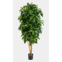 Schefflera artificiel MADDISON, troncs naturels, difficilement inflammable, vert, 170cm
