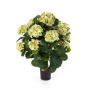 Hortensia en soie HARUKA sur tronc, vert, 60cm, Ø9-16cm