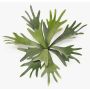 Fausse plante fougère à cornes VIGRAL, tige, difficilement inflammable, verte, 35 cm