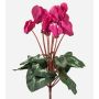 Cyclamen artificiel VERIANA sur tige, fuchsia, 30cm