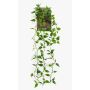 Plante artificielle retombante Philodendron scandens SAELFES sur tige, 85 cm