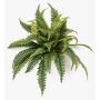 Plante artificielle fougère épée ALSAWO sur tige, verte, 50 cm