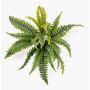 Plante artificielle fougère épée ALSAWO sur tige, verte, 45 cm