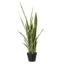 Plante décorative Sansevieria CASTIEL, cache-pot, vert-jaune, 105cm
