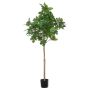 Arbre artificiel Figuier BOJANO, tronc naturel, vert, 150cm