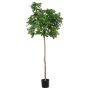 Arbre artificiel Figuier BOJANO, tronc naturel, vert, 180cm