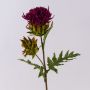 Chardon artificiel TALISHA, fuchsia, 55cm