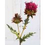 Chardon artificiel TALISHA, fuchsia, 55cm
