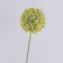 Allium artificiel HELLA, scintillant, crème-vert, 75cm, Ø11cm