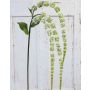 Branche artificielle d'amarante SENIO avec fleurs, vert-blanc, 70cm