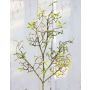 Branche de noisetier artificielle GARPUR, vert, 70cm