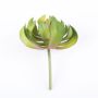 Aeonium artificiel GERTRUDE sur piquet, vert-rouge, 13cm