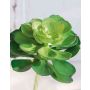 Echeveria elegans artificiel ULUWEHI, piquet, vert, 17cm