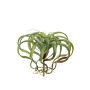 Tillandsia xerographica artificiel AZARD, piquet, vert-rouge, 30cm, Ø35cm
