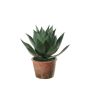 Agave americana artificiel KENNO, cache-pot, gris-vert, 27cm