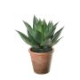 Agave americana artificiel KENNO, cache-pot, vert, 27cm