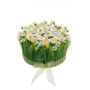 Arrangement de narcisses et de graminée artificiel HAULANI, blanc-jaune, 12cm, Ø20cm