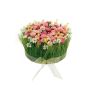 Arrangement de marguerites et de graminée artificiel HAULANI, rose-blanc, 12cm, Ø20cm