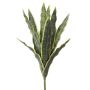 Plante décorative Sansevieria LIVIANA, piquet, vert-jaune, 50cm