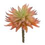 Succulente artificielle Echeveria elegans LUGA, piquet, orange-vert, 16cm
