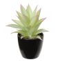 Agave americana artificiel KOSEY, cache-pot, vert clair-rouge, 16cm
