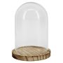 Cloche en verre DANILLA avec socle en bois marbré, transparente, 13cm, Ø9,5cm
