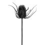 Fleur artificielle « chardon noble » DRINTA, noir, 75 cm