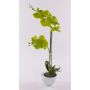 Orchidée Phalaenopsis artificielle AURELIA en pot en céramique, vert, 55cm