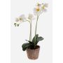 Orchidée en soie MINA, pot en terre cuite, blanc, 45cm, Ø6-8cm