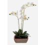 Orchidée en soie MINA, pot en terre cuite, blanc, 55cm, Ø6-8cm
