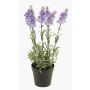 Lavande artificielle LOUISE, pot décoratif, violet clair, 30cm, Ø3cm