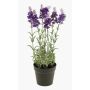 Lavande artificielle LOUISE, pot décoratif, violet foncé, 30cm, Ø3cm
