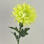Chrysanthème en soie KESARA, crème-vert, 65cm, Ø16cm