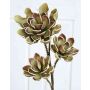 Branche d'Echeveria en plastique ORALY, vert-brun, 95cm, Ø15-24cm