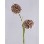 Allium artificiel CHIRARA, brun, 95cm, Ø10cm