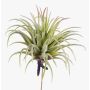 Tillandsia Rubra artificiel PENNY, piquet, vert-rouge, 12cm, Ø10cm