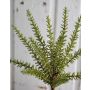 Plante artificielle Romarin ISOBEL sur piquet, vert, 35cm