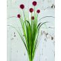 Linaigrette artificielle PINTANA avec panicules, sur piquet, rouge, 75cm